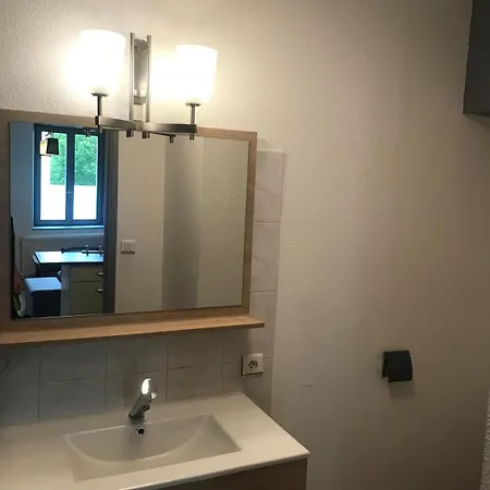 Le 3 - Le Chateau Du Lichtenberg *